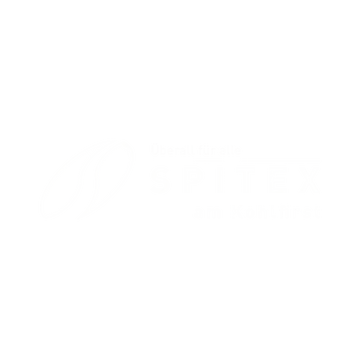 Logo Spitex am Kohlfirst - Überall für alle
